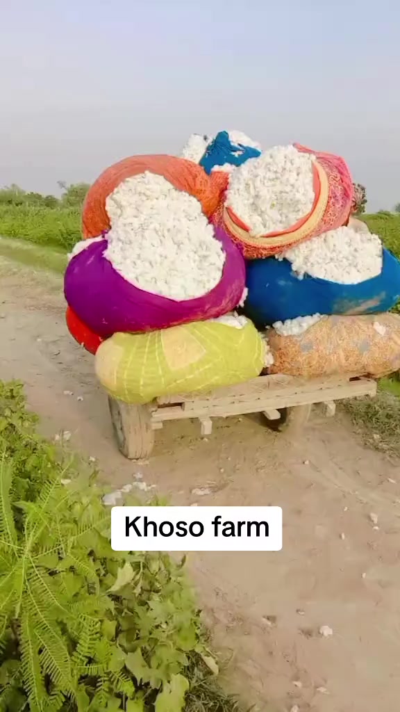 @Khalid Khoso💦