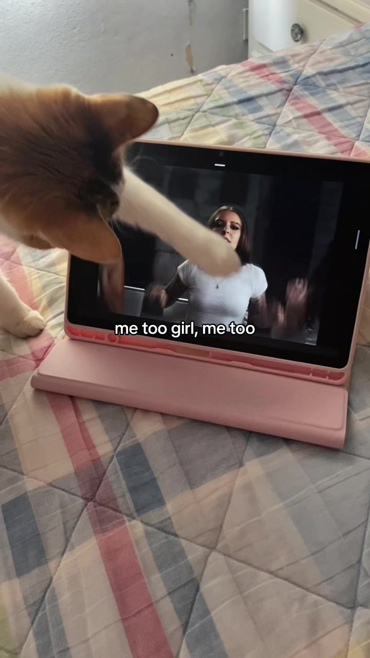 @mariel 🦂