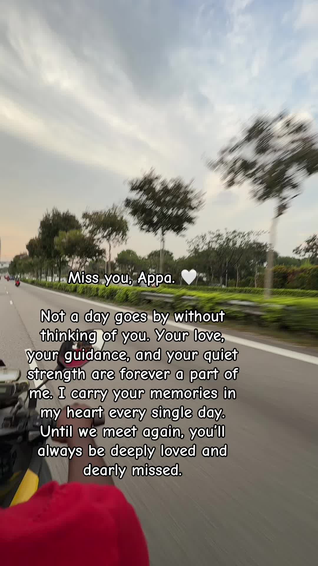@TulipsLifeline