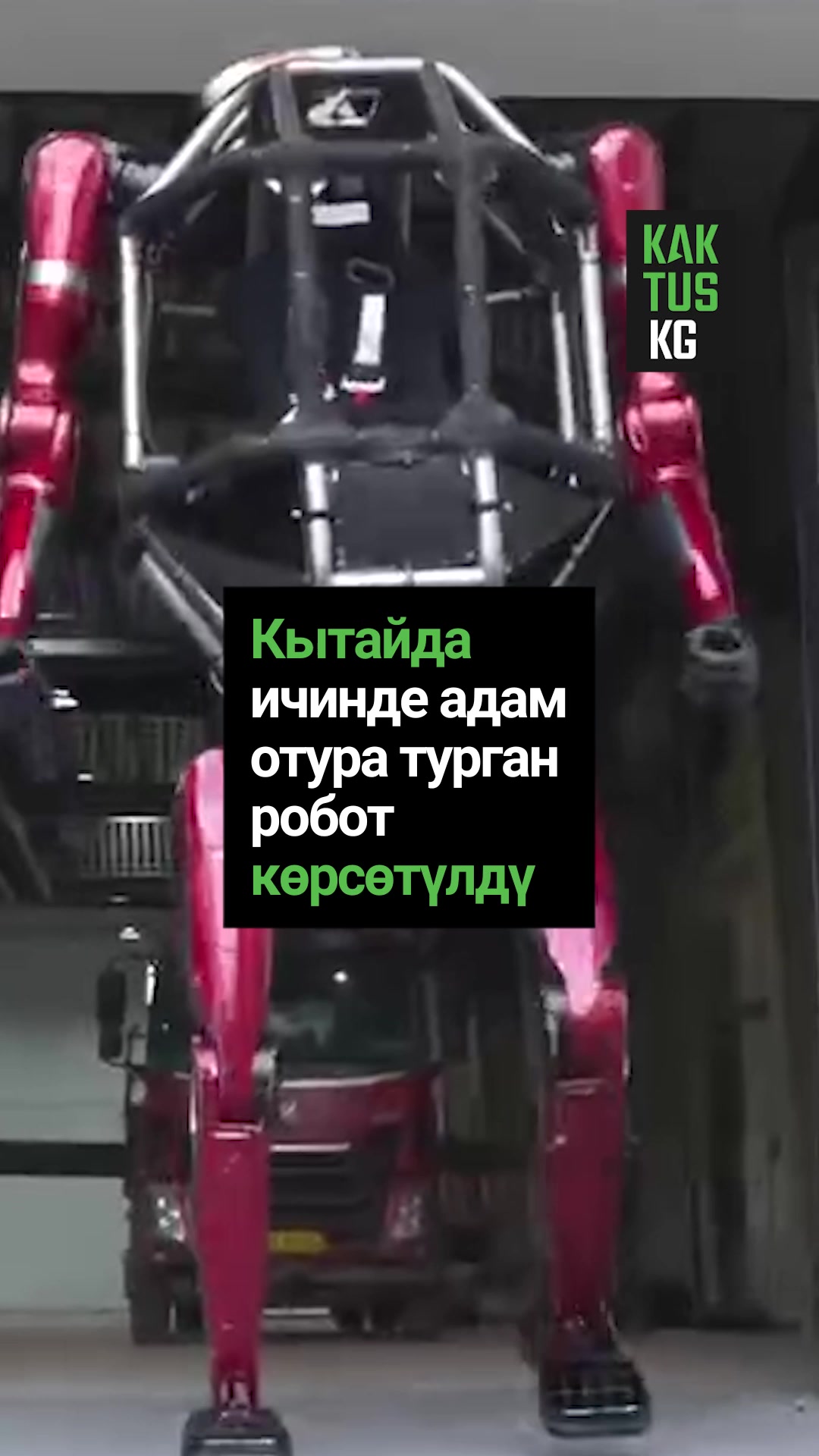 @Kaktus KG