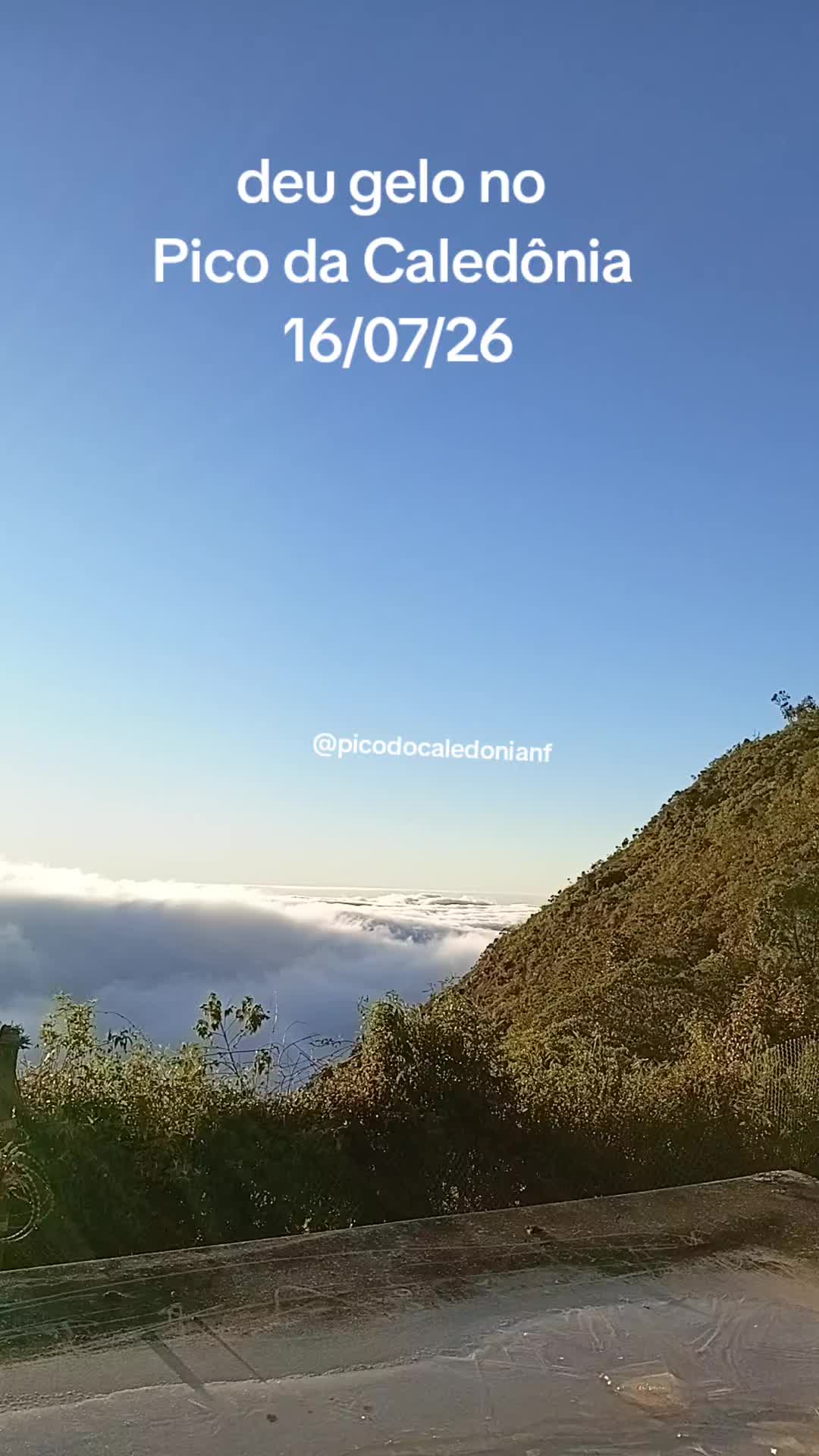 @sjb.adesivos