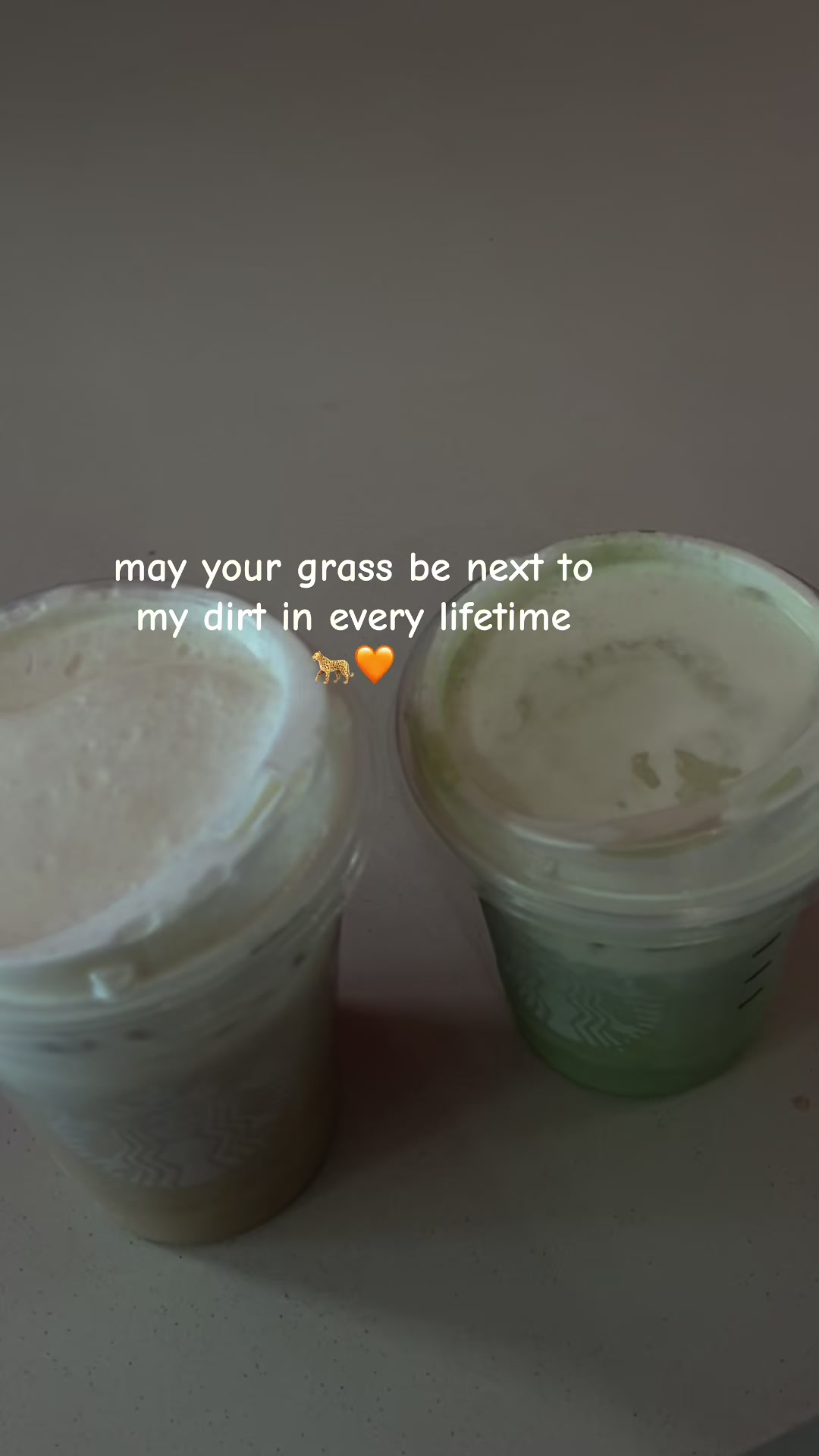 @𝓢𝓱𝓪𝓻𝓶𝓪𝓲𝓷💋