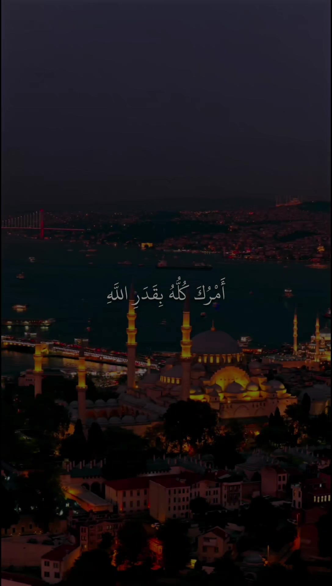 @قــــــرآن || 𝐐𝐮𝐫𝐚𝐧 ✓