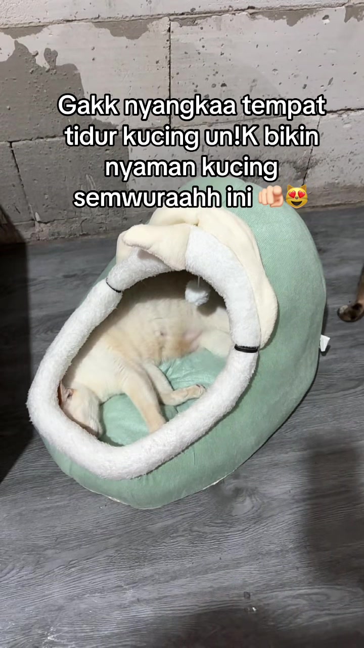 @Aini_Riani💫🌼