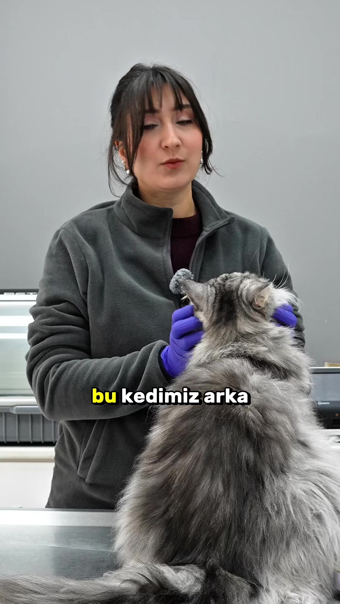 @Candanveteriner