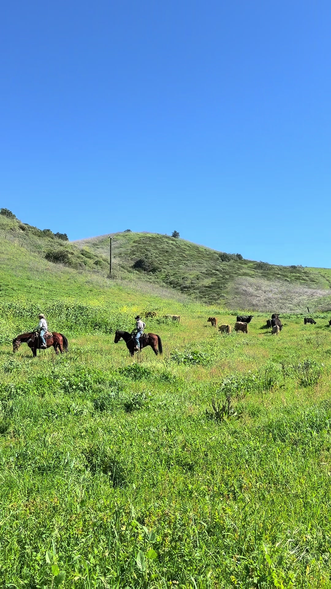 @myranchdiary