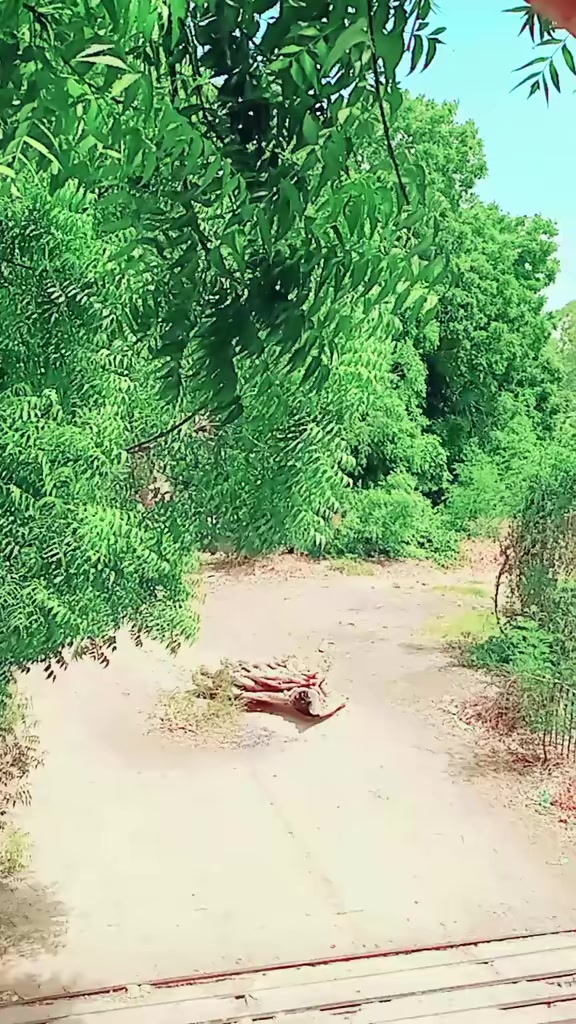 @Kishan kumar