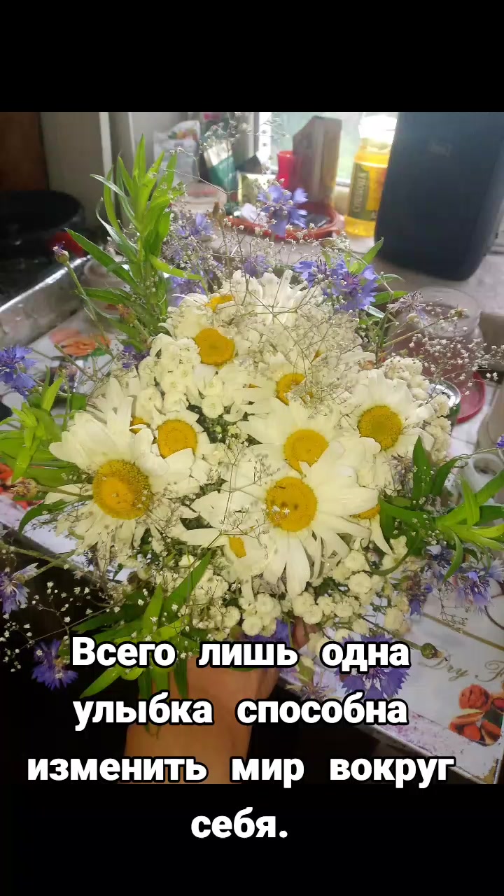 @ʟ ᴇ ᴍ ᴏ ɴ ᴄ ʜ ɪ ʟ ᴅ 🍋