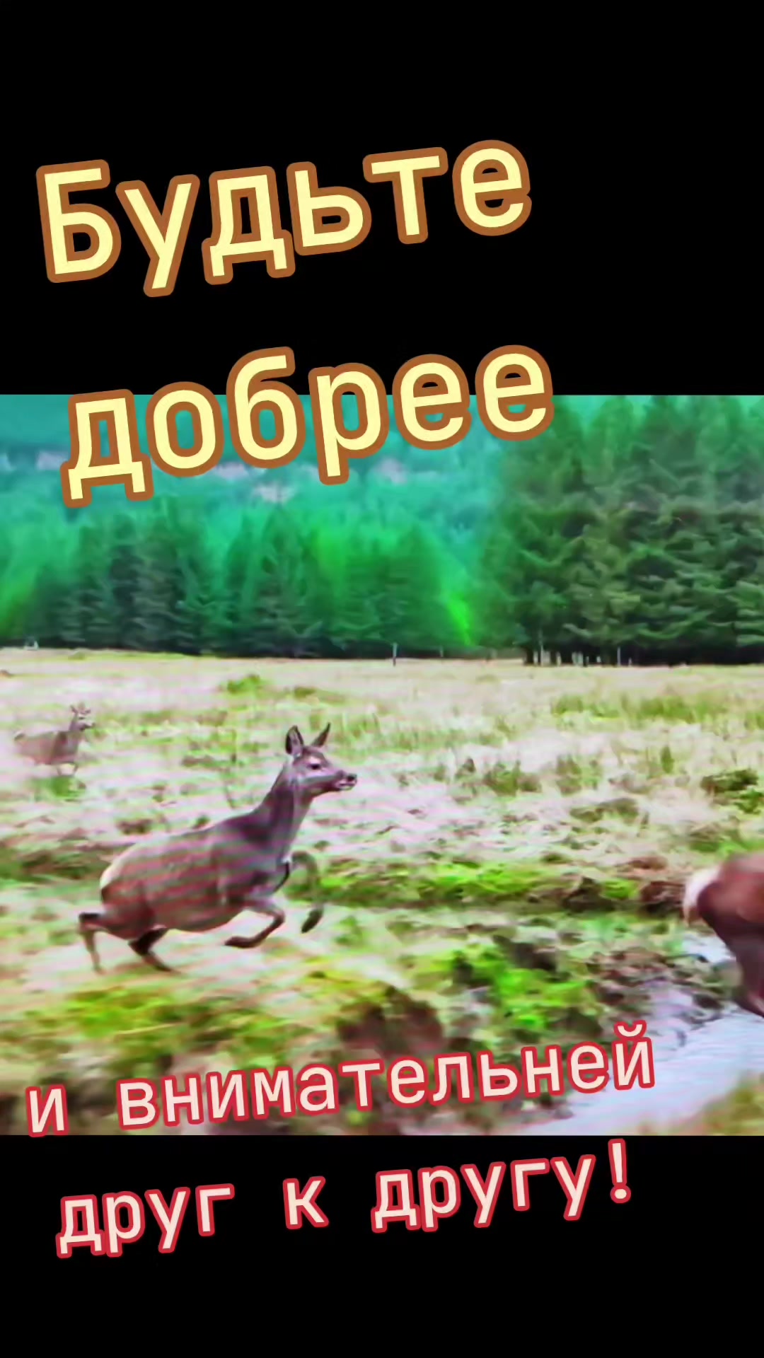 @Сергей