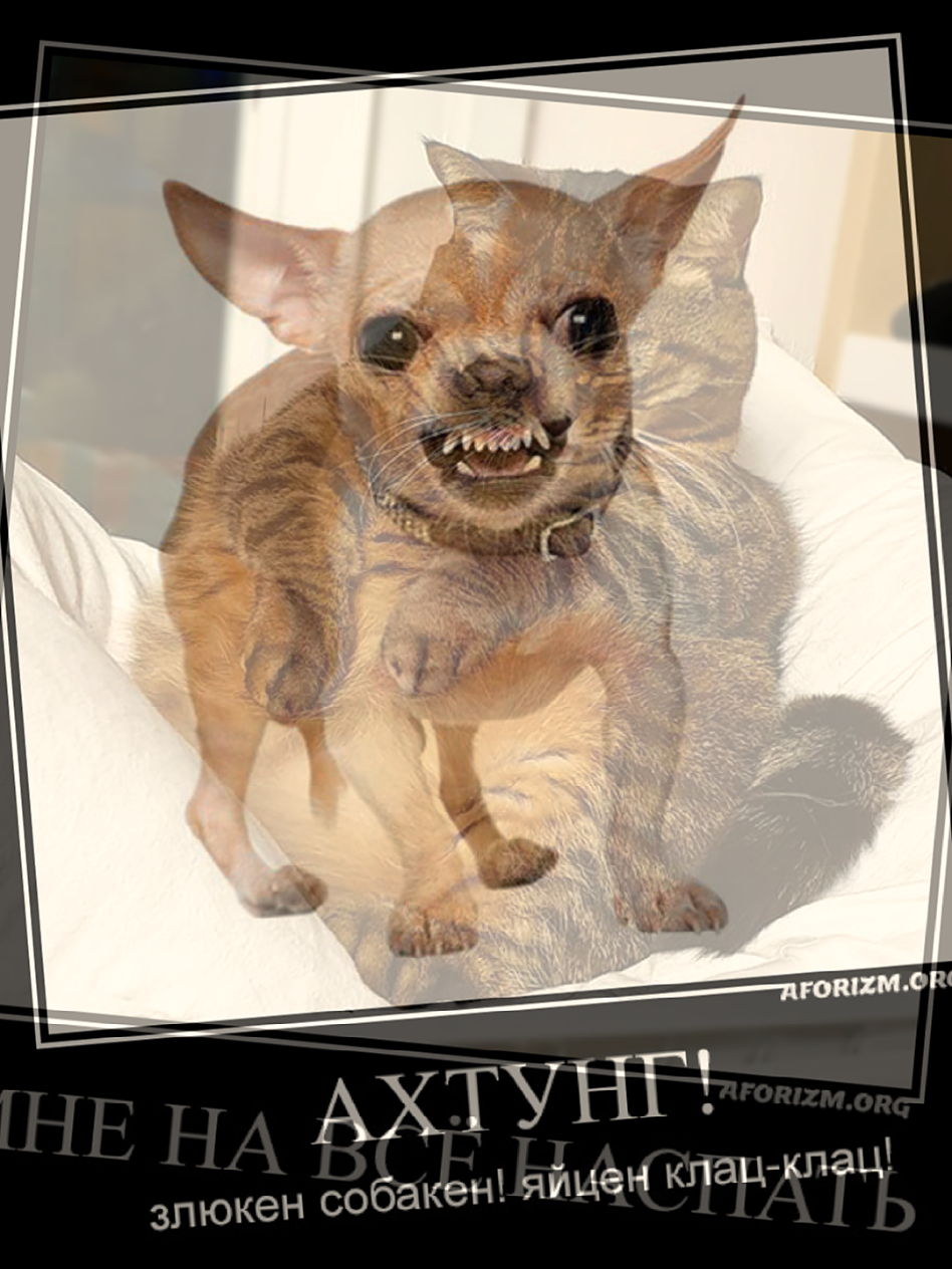 @Андрей Григорьев