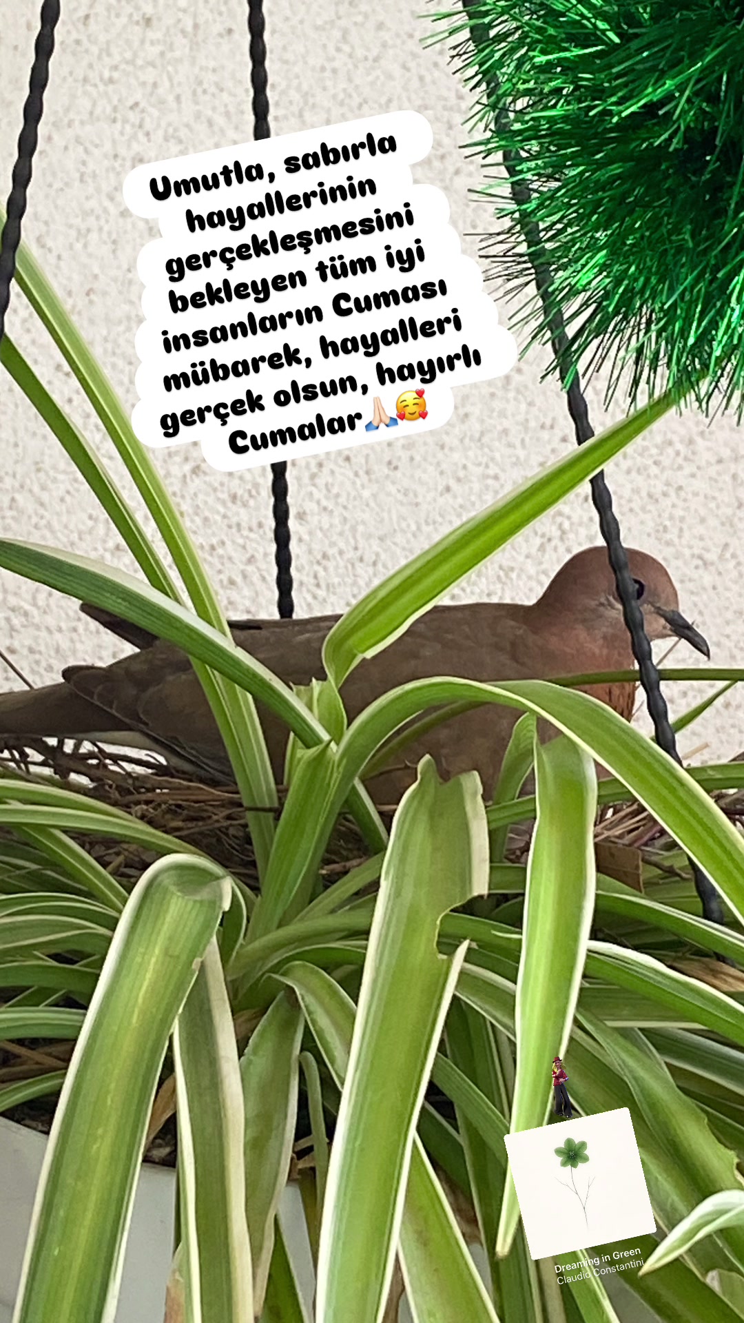 @Şapkalı Kadın