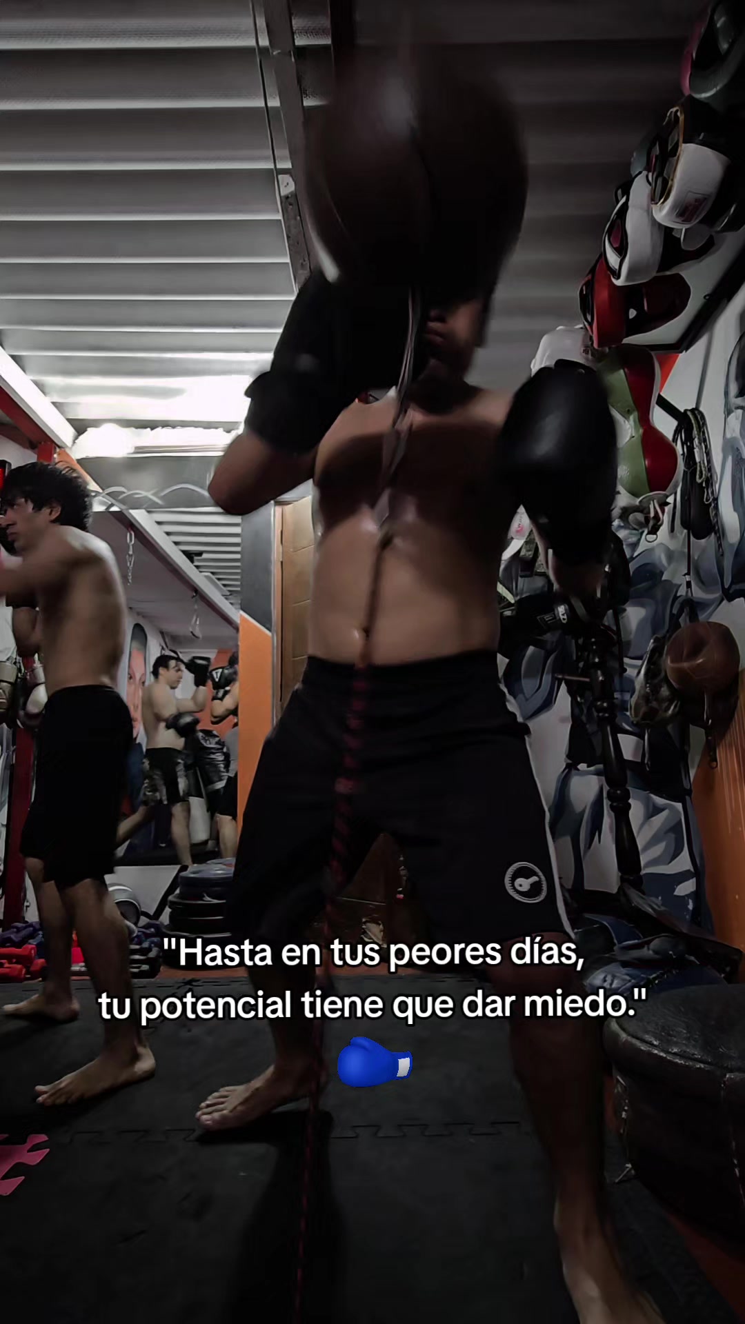 @EL DON K.O.🥊