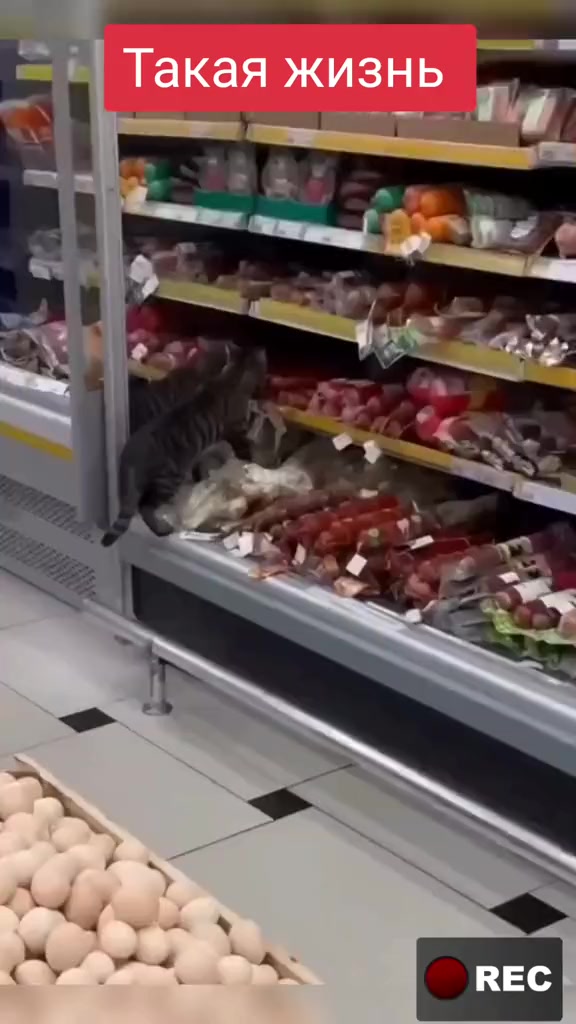 @Лариса