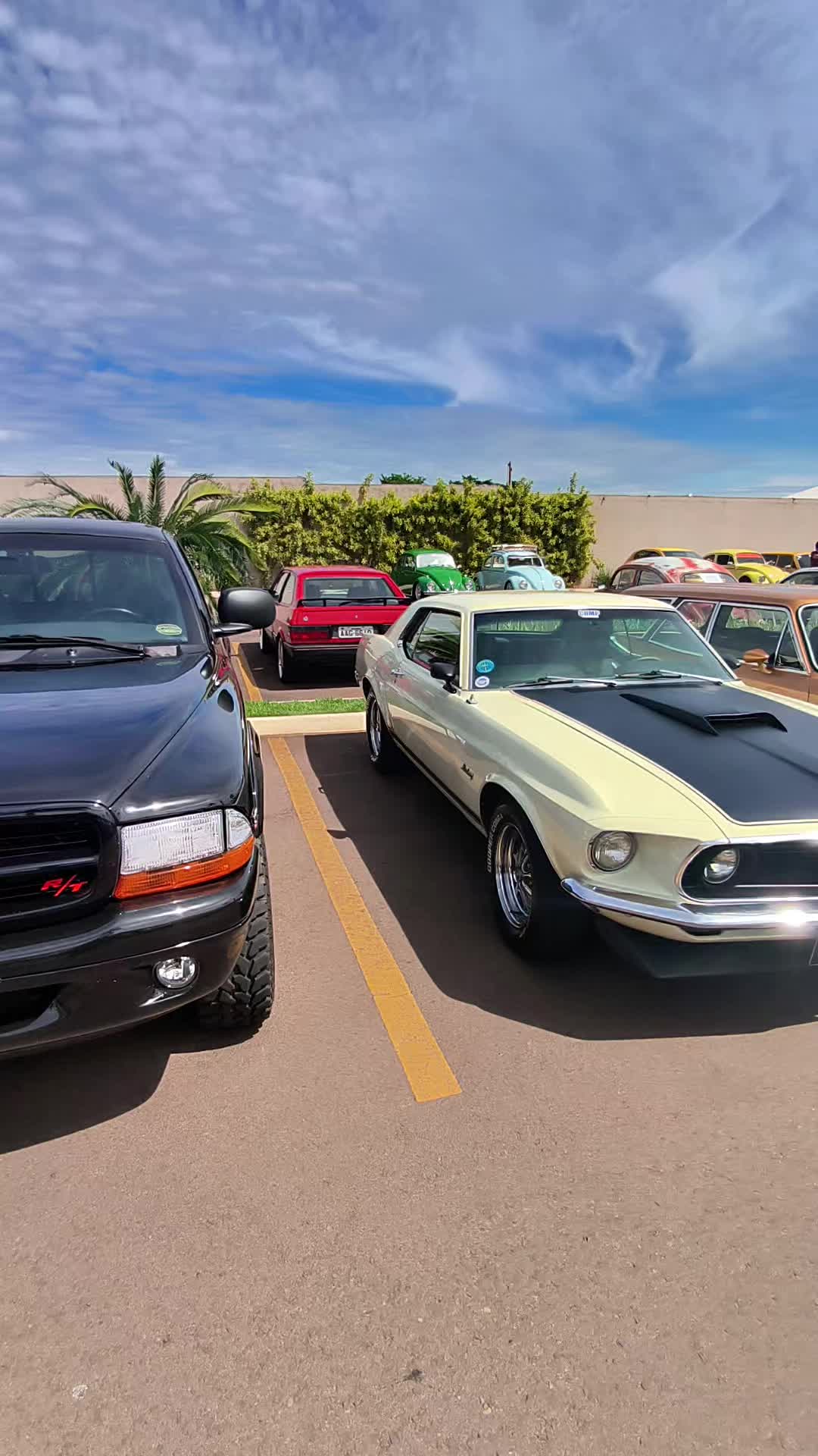 @Cars in Brasil