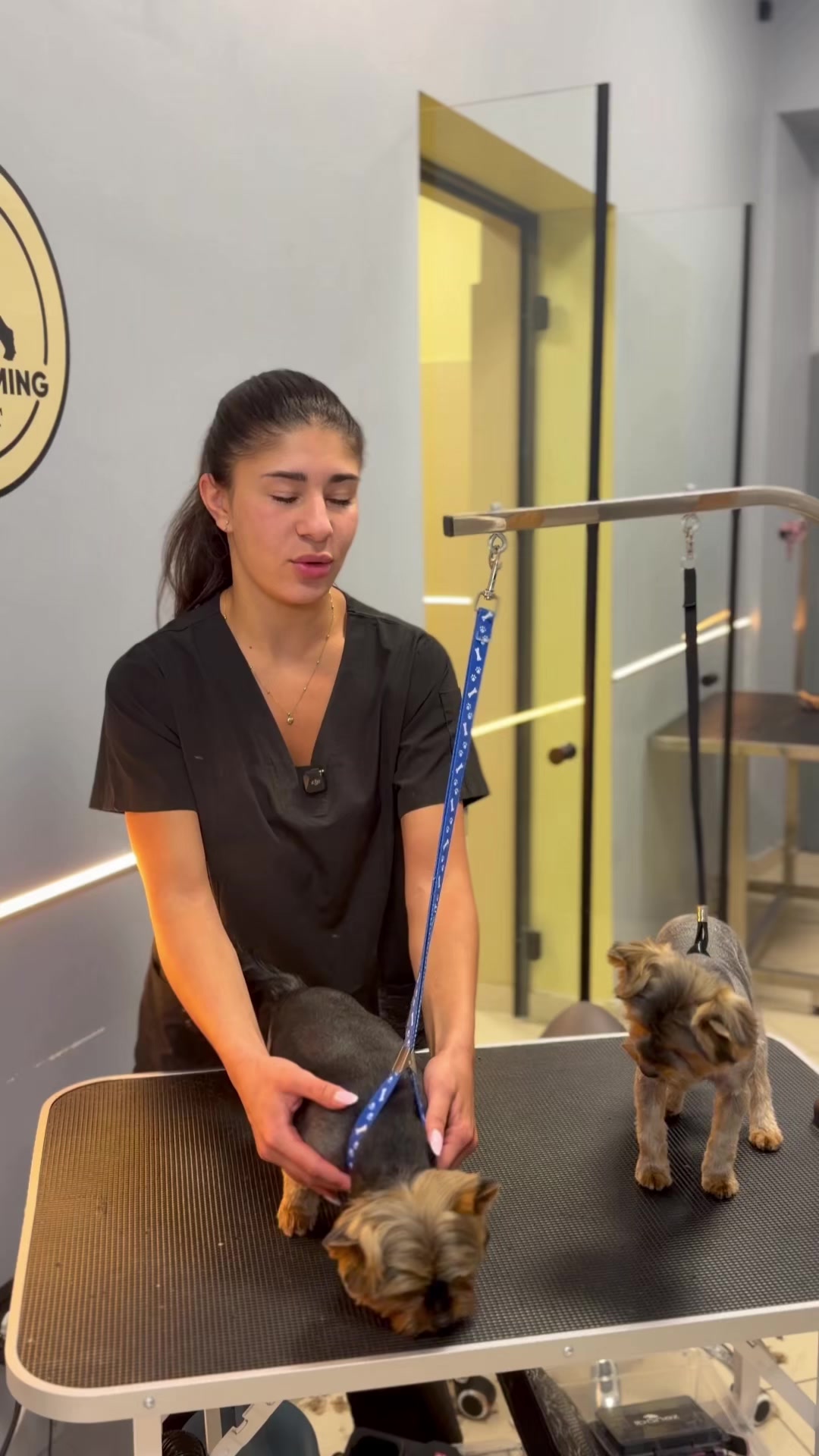 @PetGroomingExpert.md