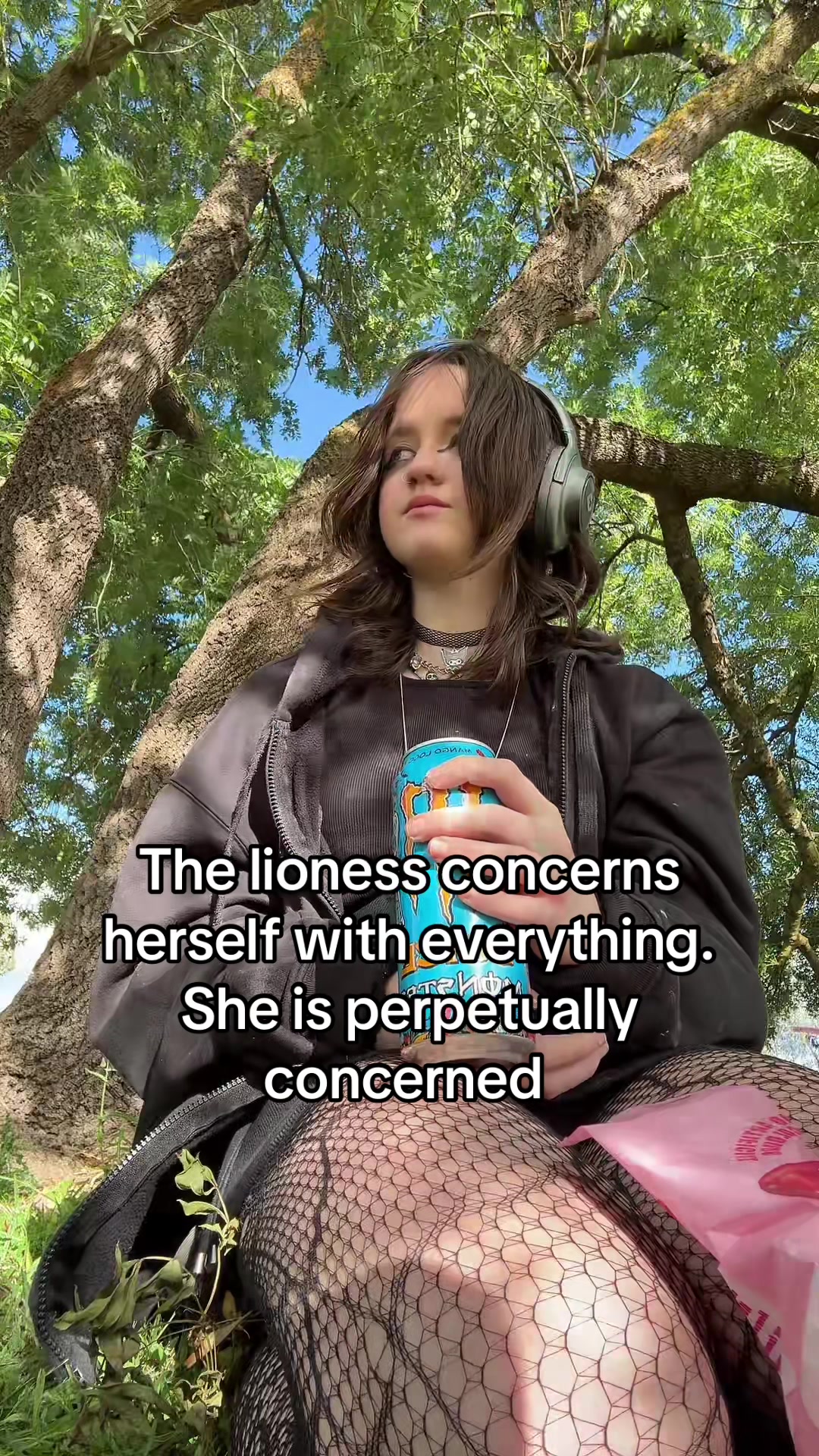 @brontea00