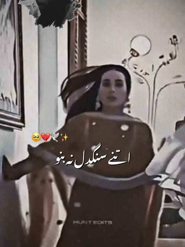 @Saeed Shah ❤️🔥