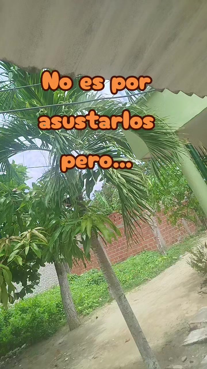 @🪗🦿V̸I̸C̸T̸O̸R̸✍️🇨🇴