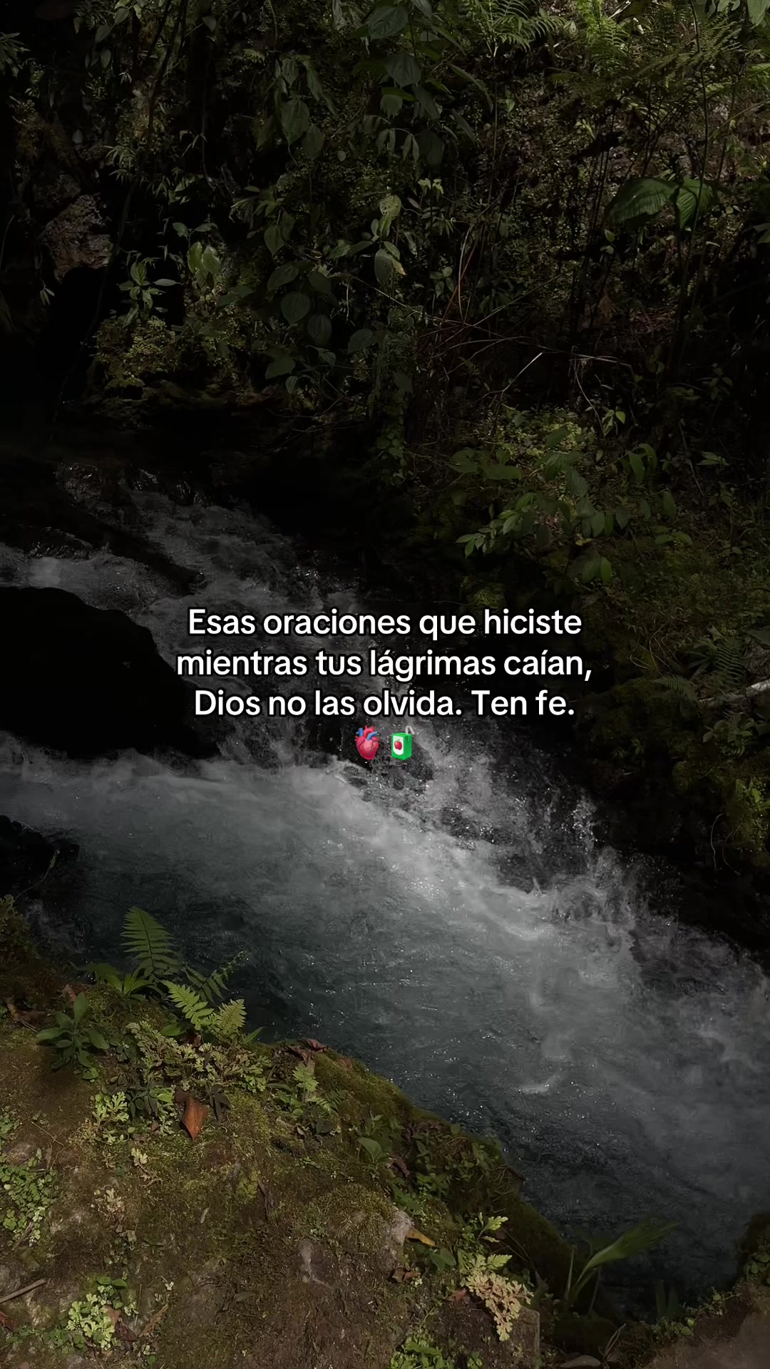 @Gatocix 🐱