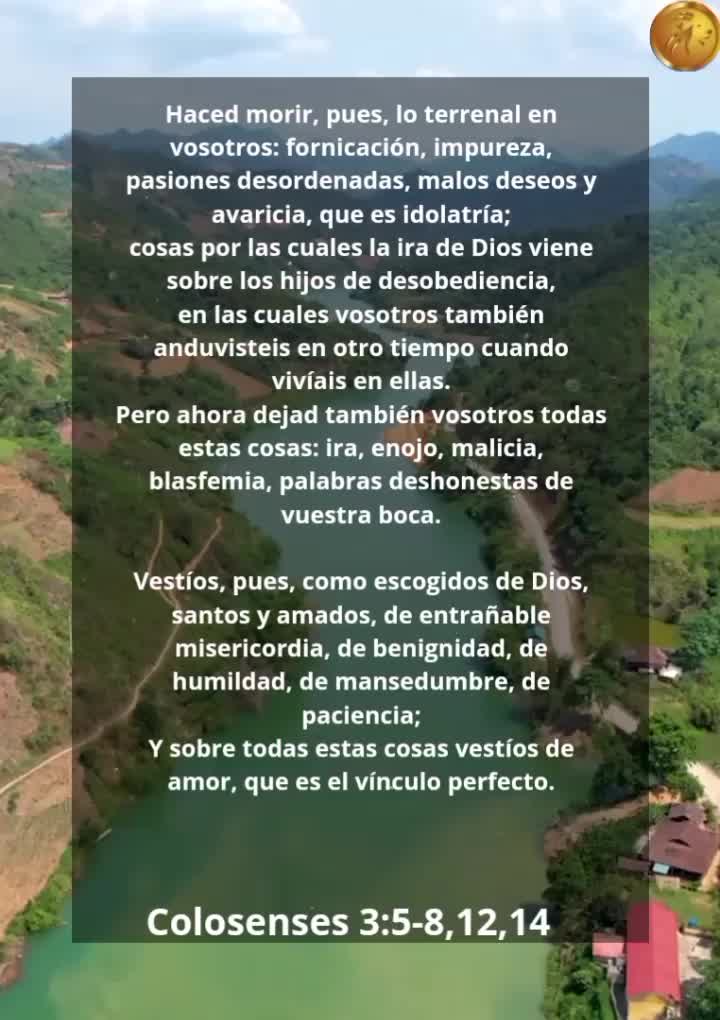 @Vicayquipa