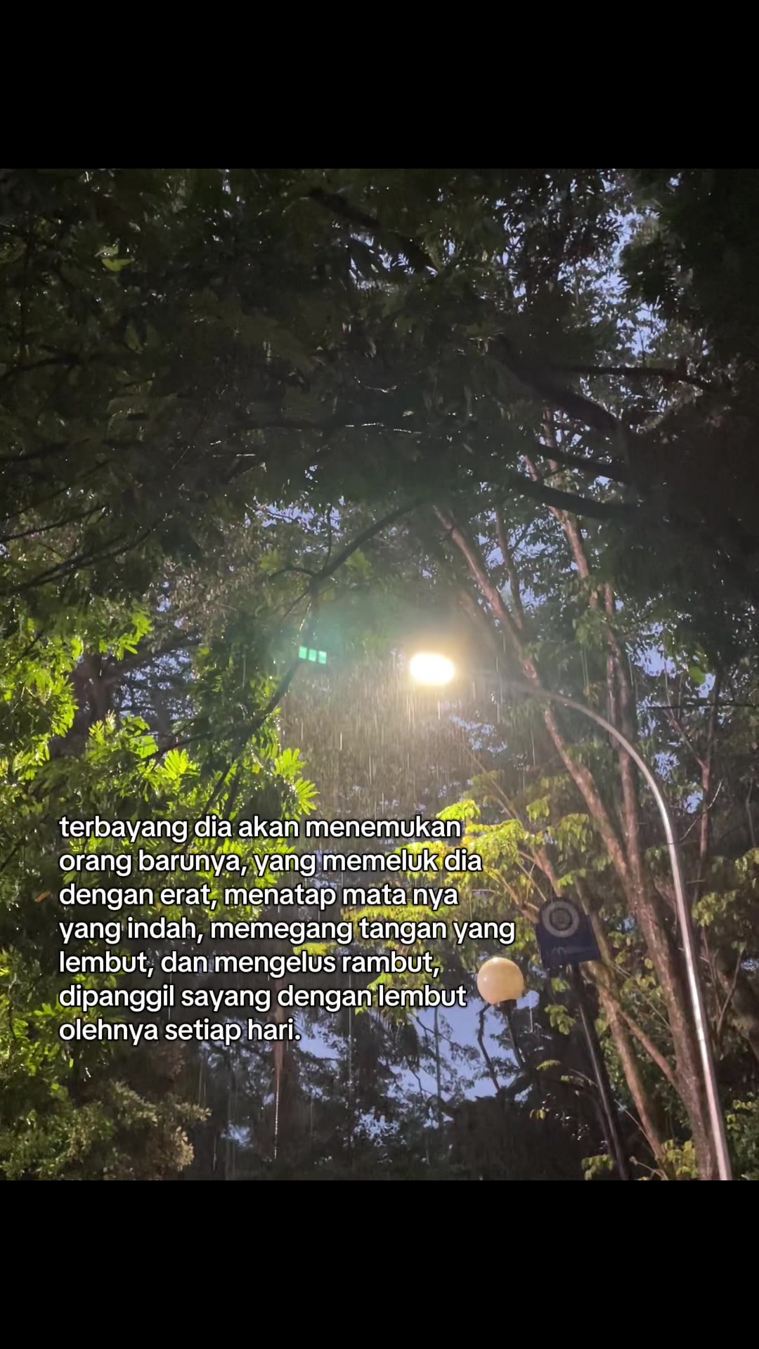 @ayippp