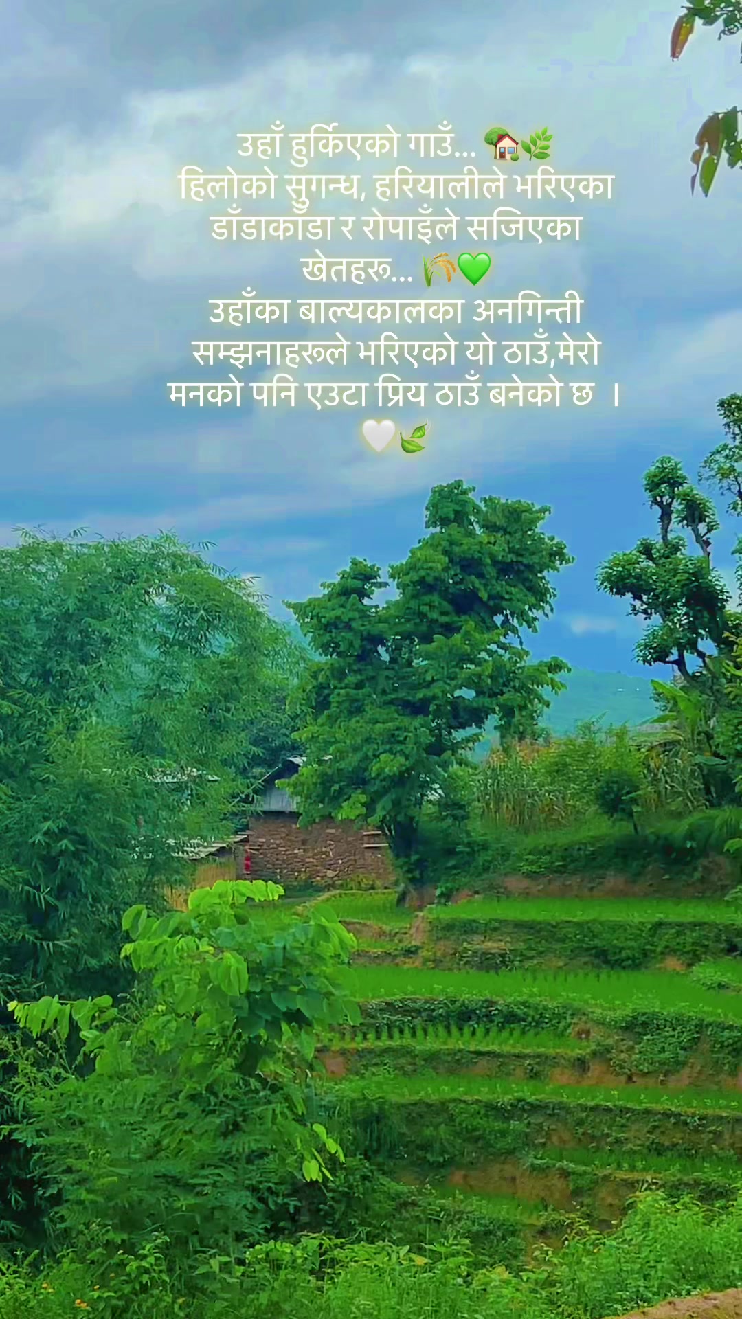 @Anita basnet