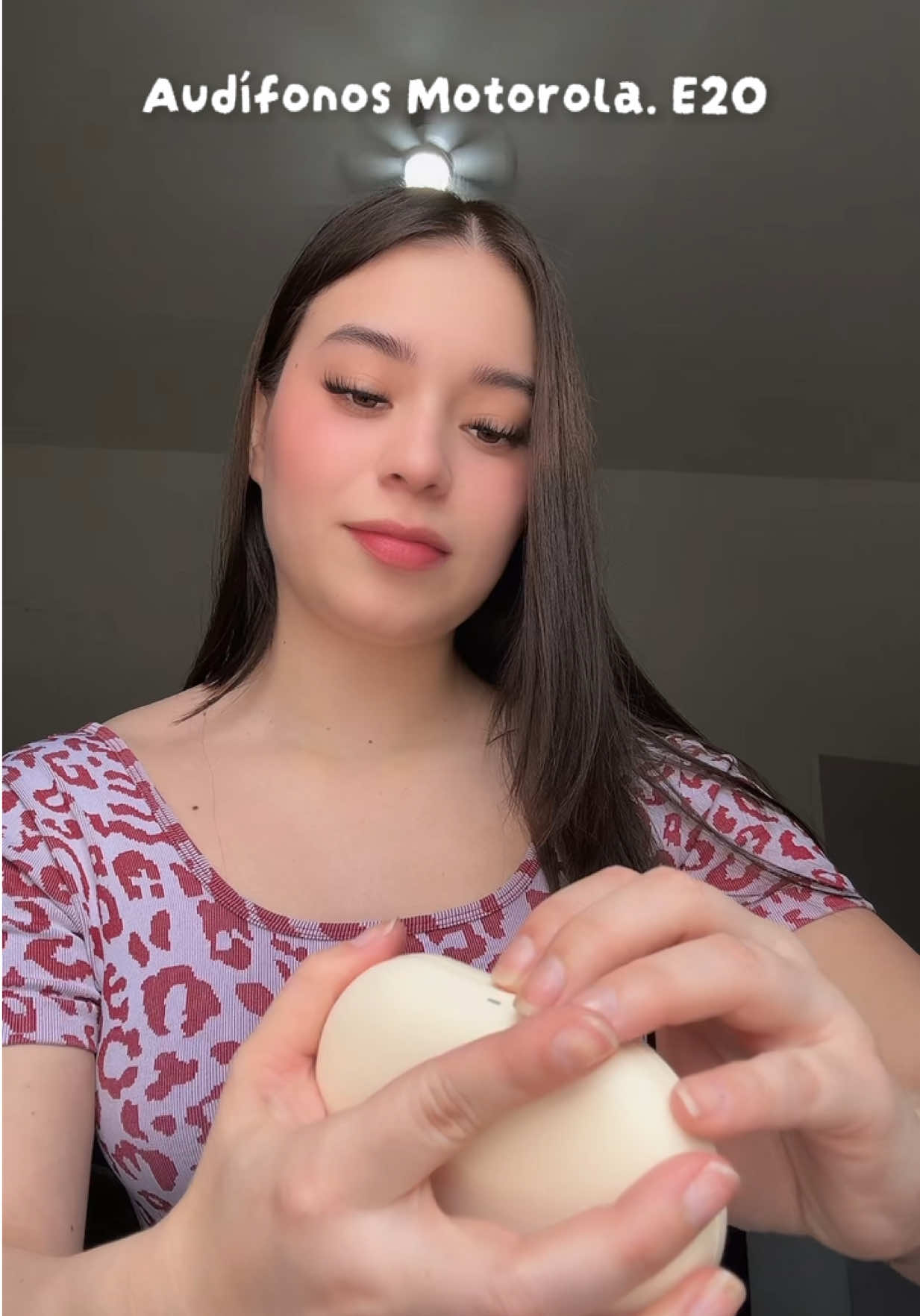 @shantydg0