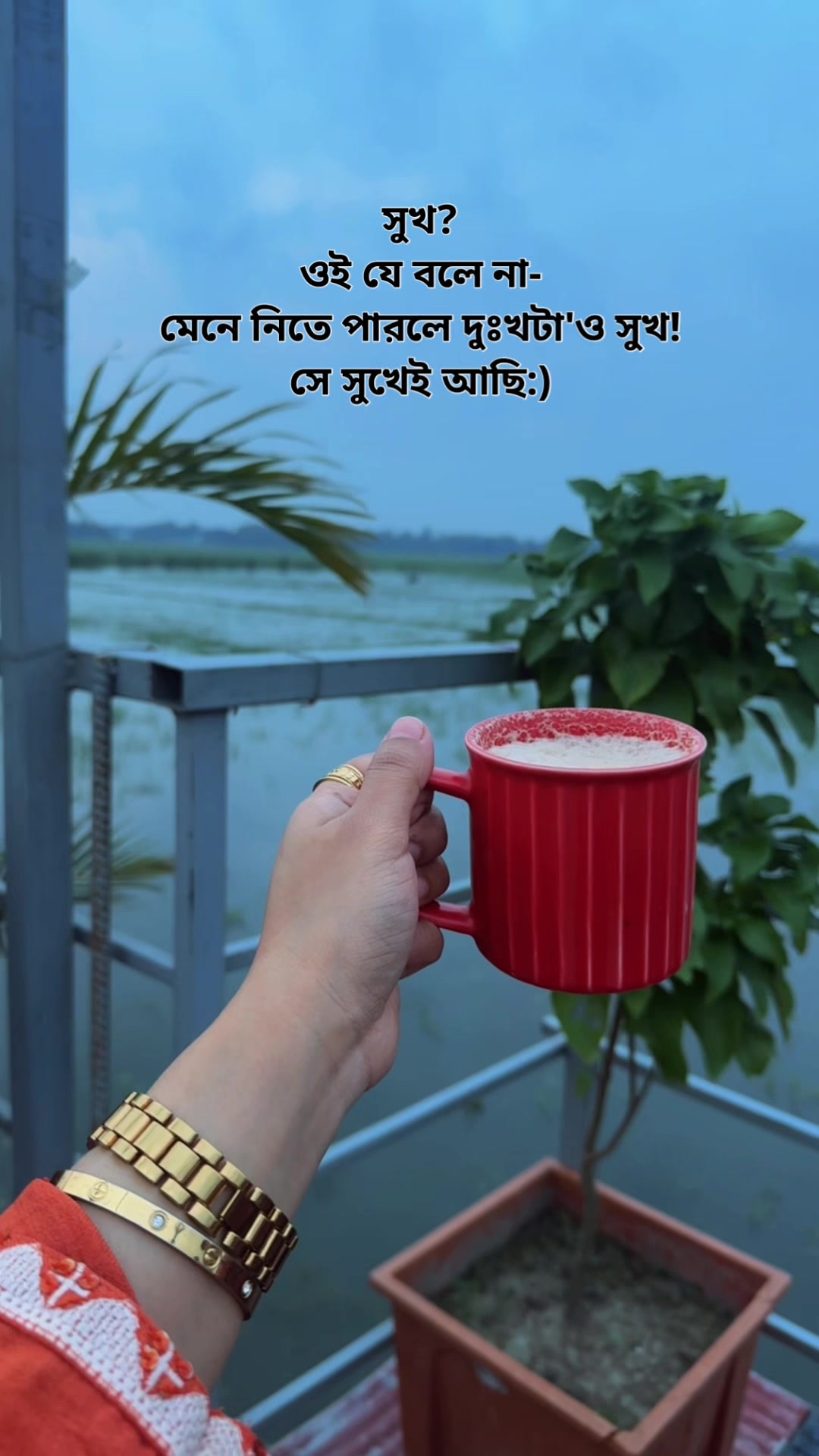 @Tabassum bushra