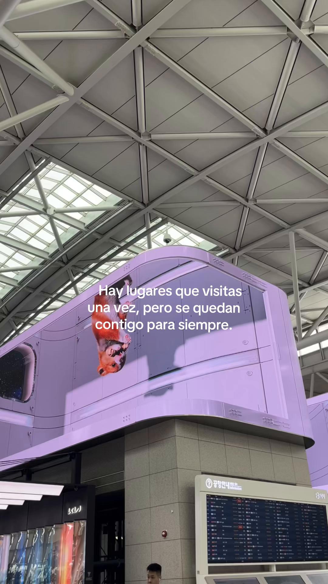 @odalischavezzz