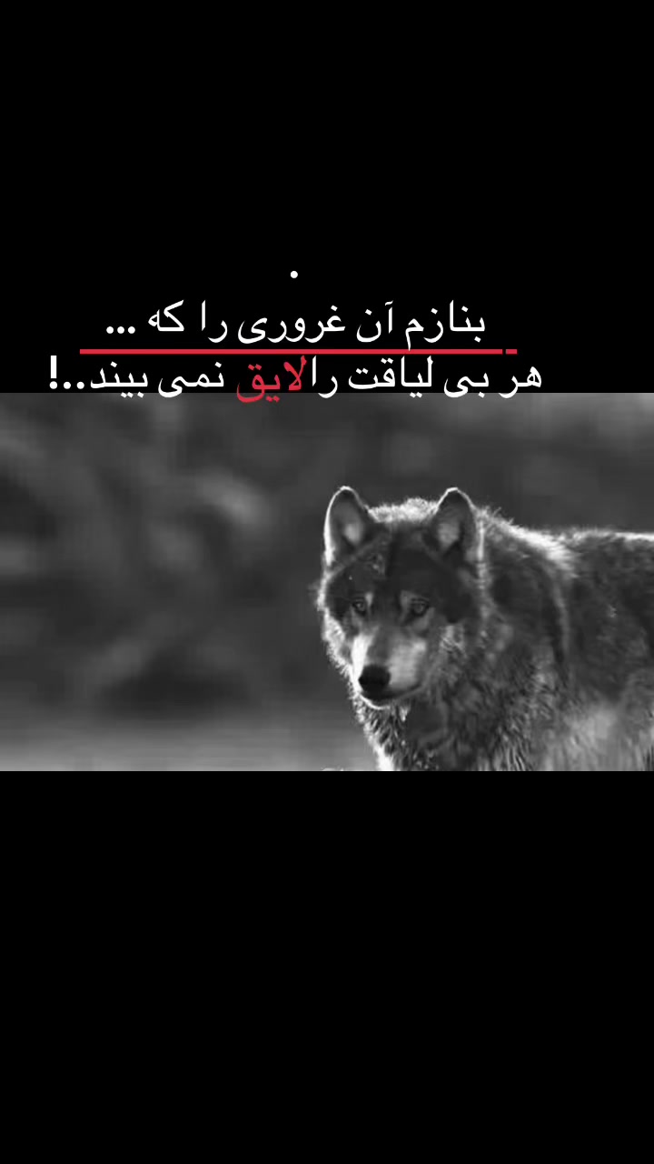 @𝐘𝐎𝐔𝐒𝐎𝐅 𝐇𝐎𝐓𝐀𝐊