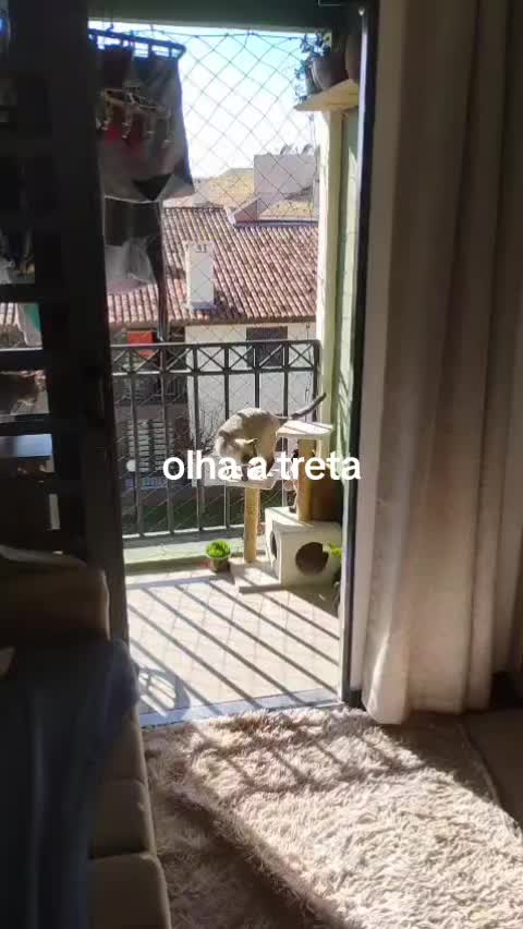 @cissarossato🍒😻