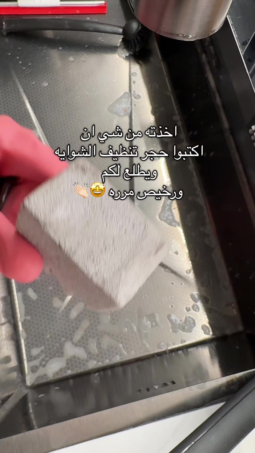 @منال الغامدي✨