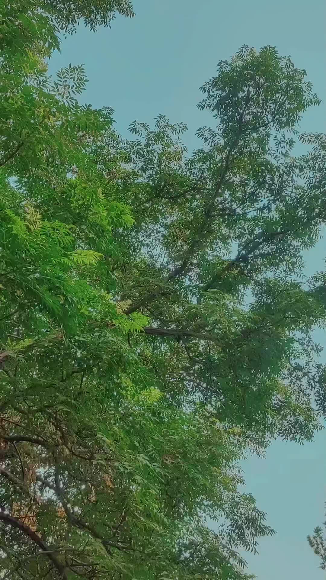 @S ᴀ ᴍ ᴀ ʀ࿐Sђ&alpha;ђ★043