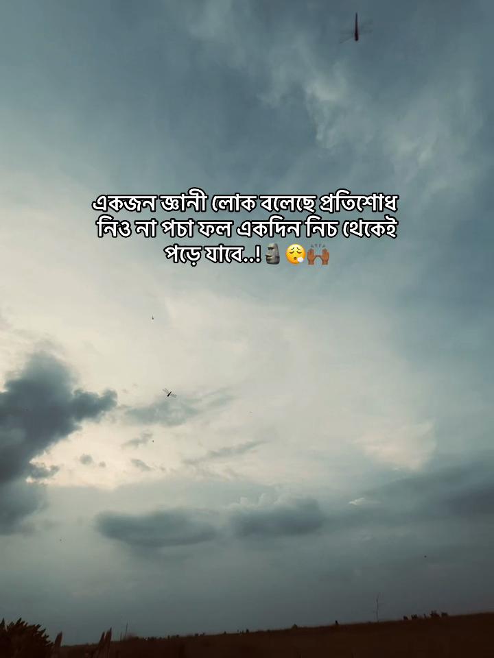 @sꫝɴɪᴍ 