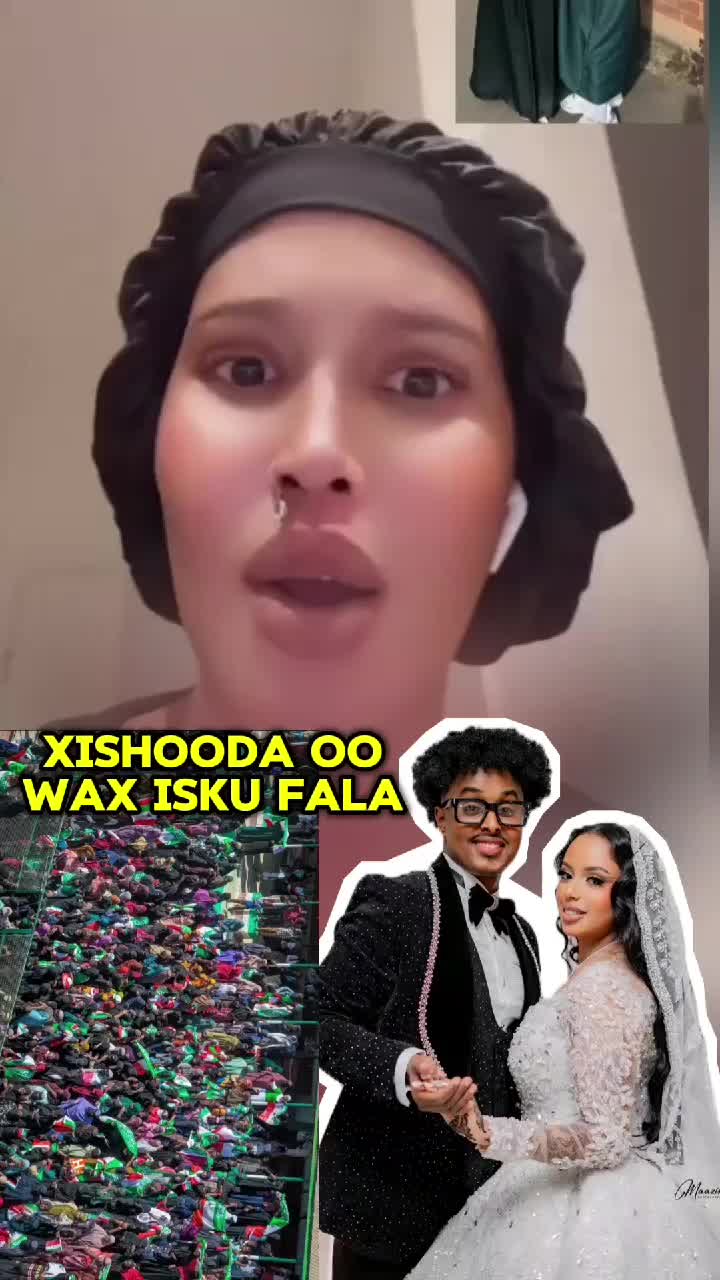 @cirshidawi