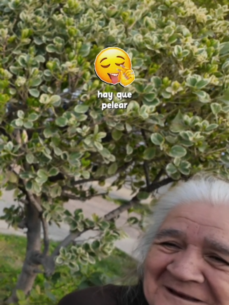 @sepu