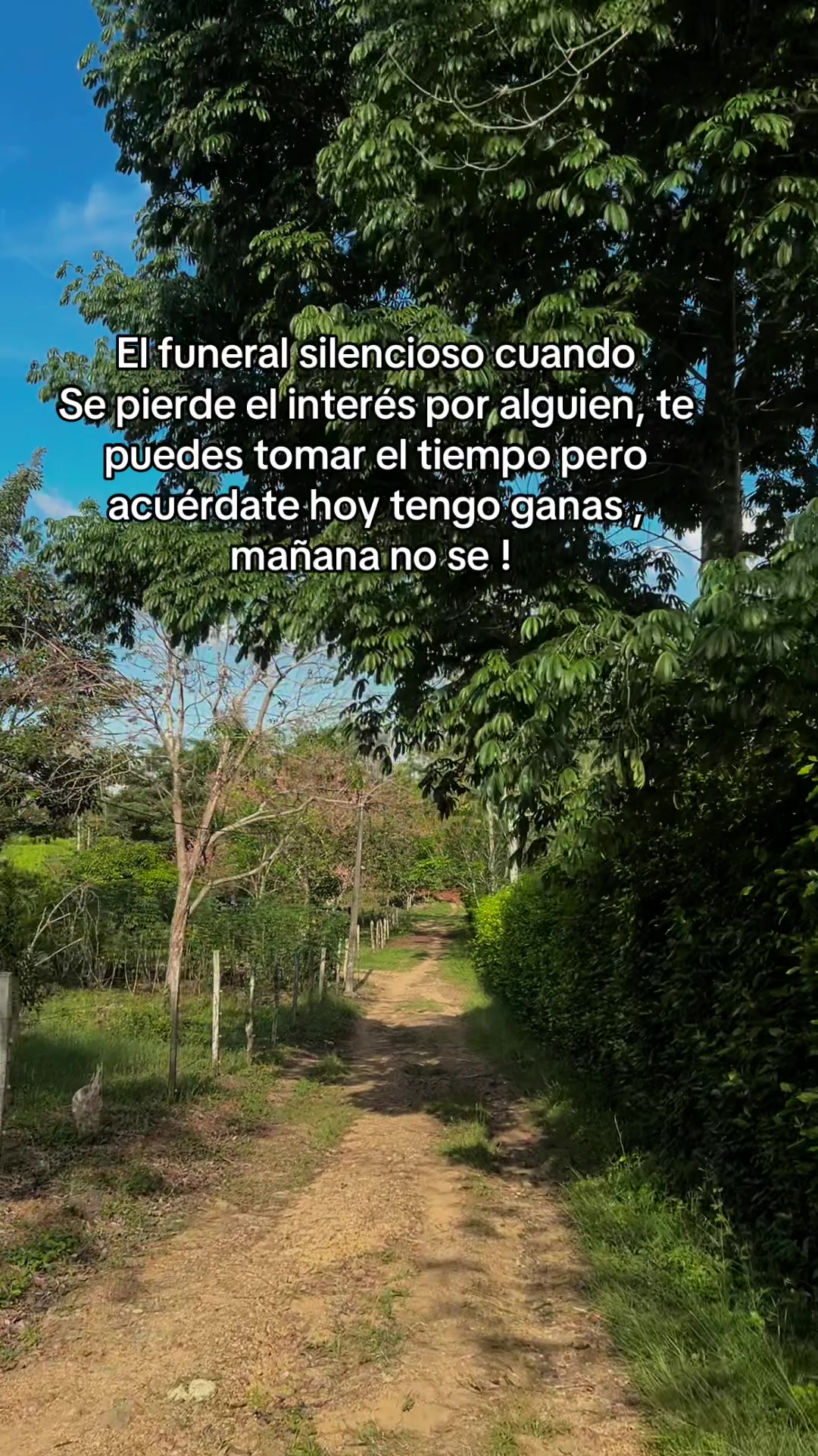 @Kaleider Salcedo