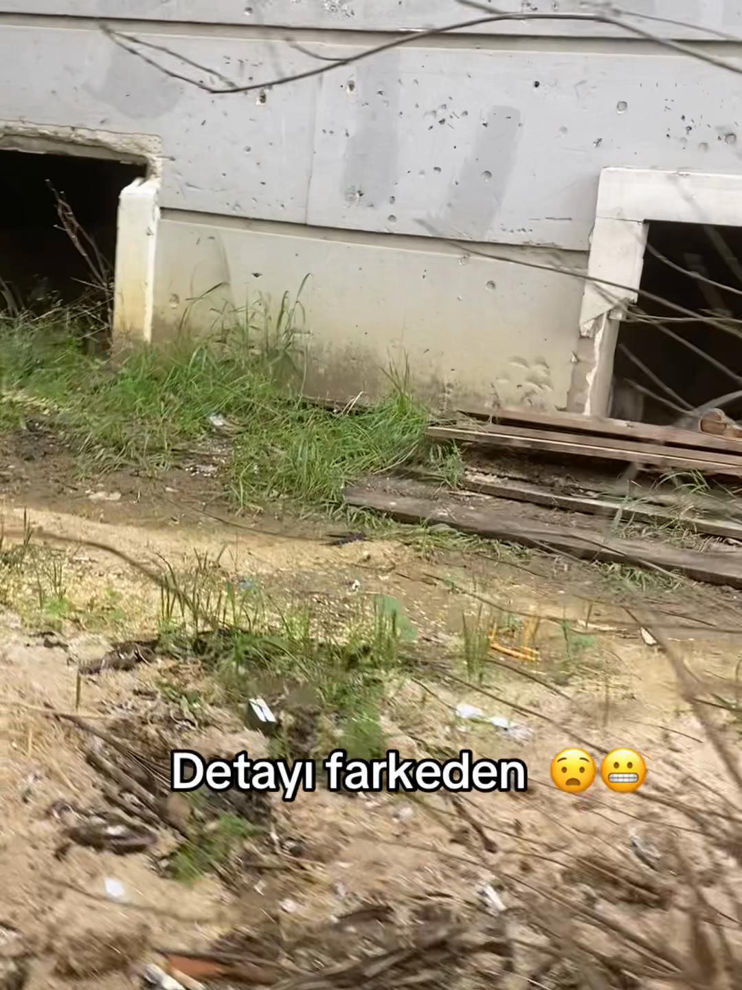 @yeliz.bckk