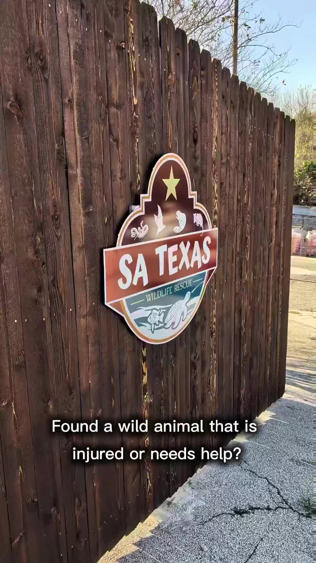 @San Antonio Aquarium