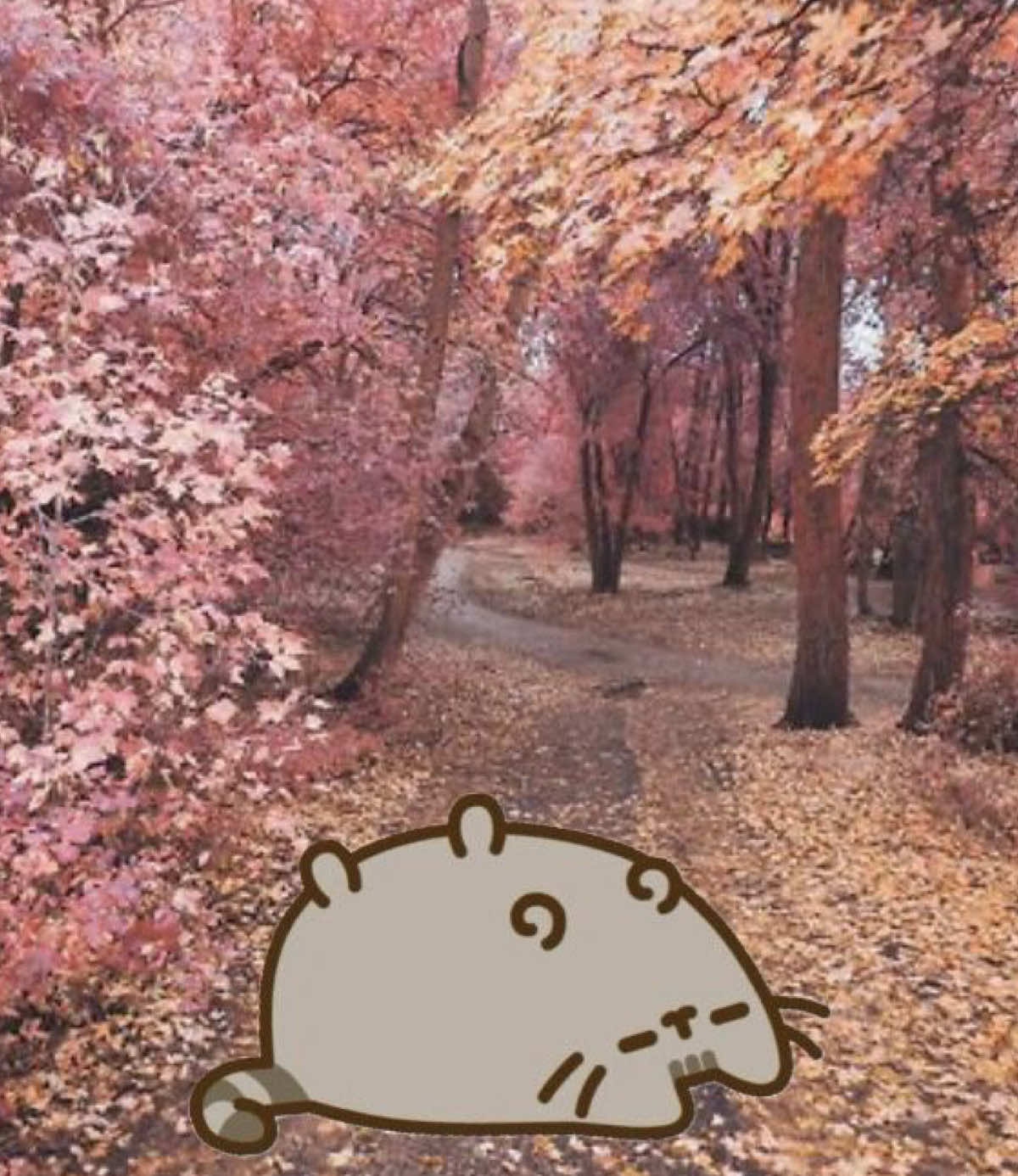 @𝐡𝐮𝐧𝐭𝐞𝐫 ˙𐃷˙
