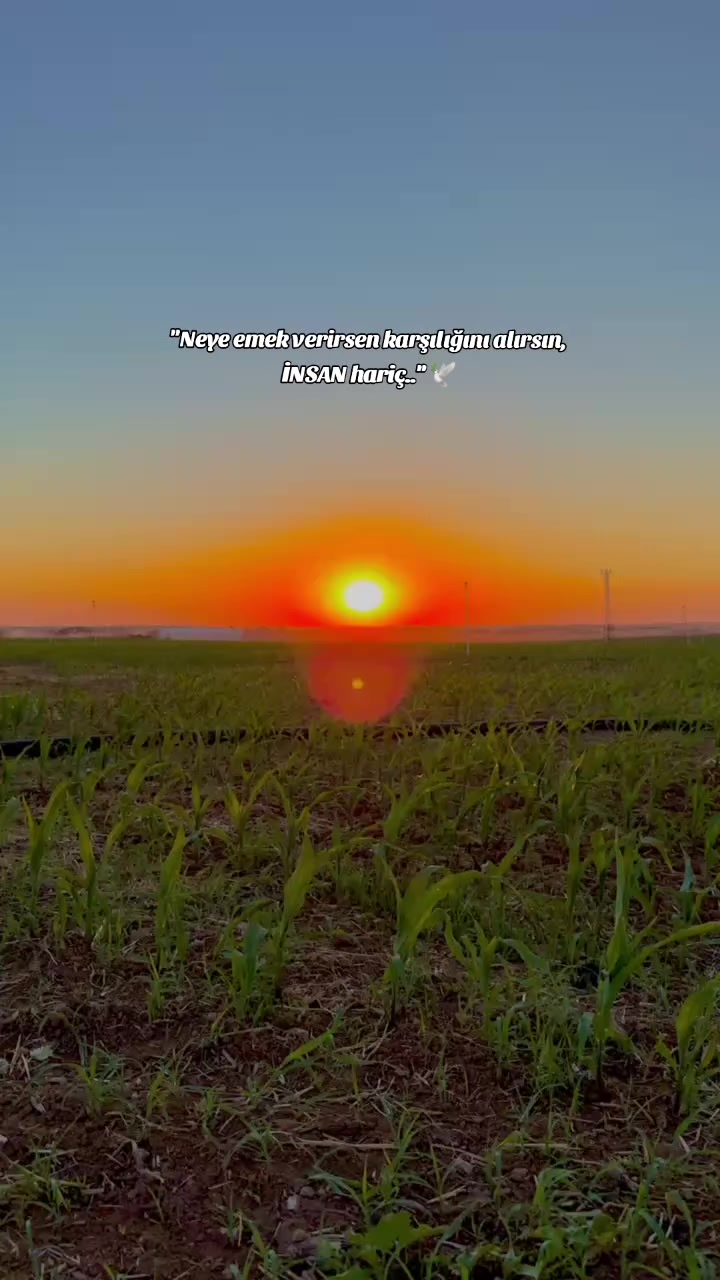 @𝐒 𝐓 𝐄 𝐑 𝐊 ✷
