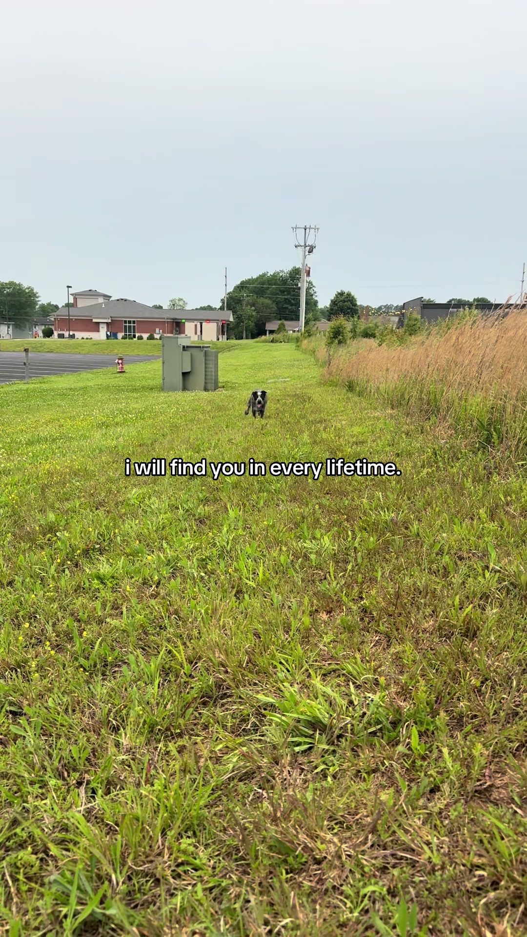@kins