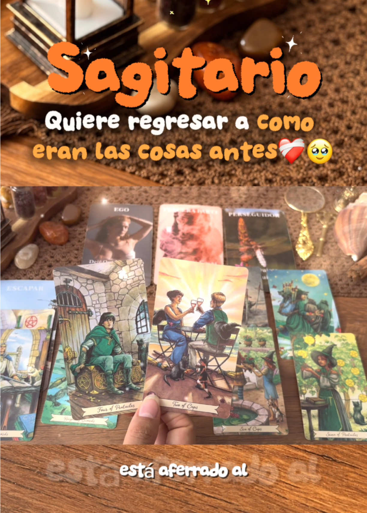 @Andy Sun Tarot ☀️