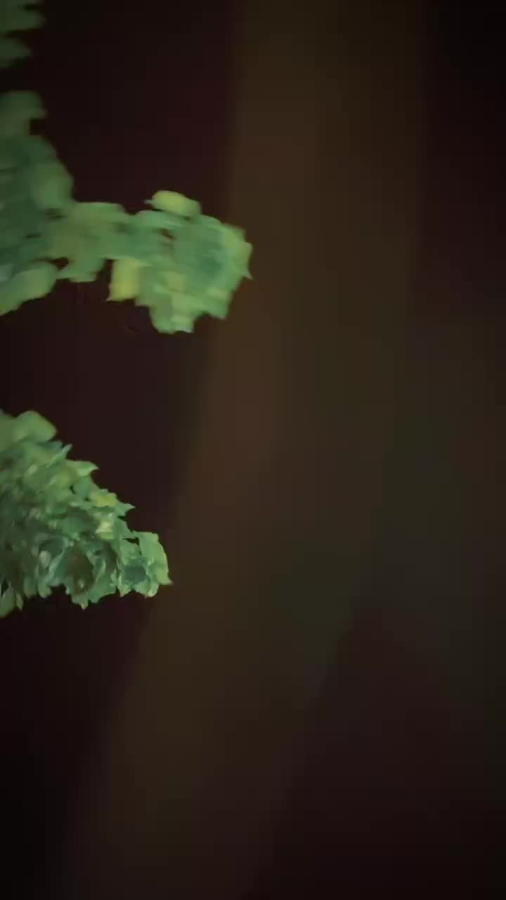 @🦋 S I V A N E S W A R I 🦋