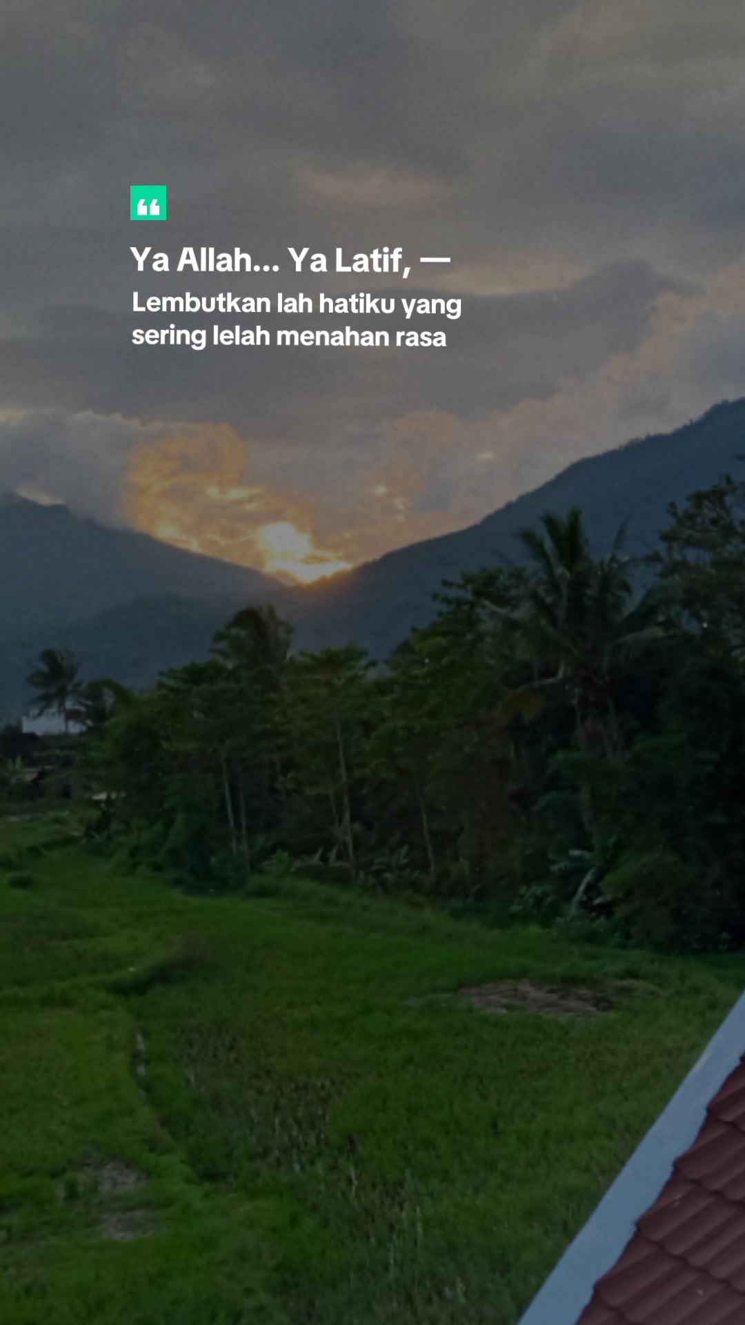 @Bunda Pita