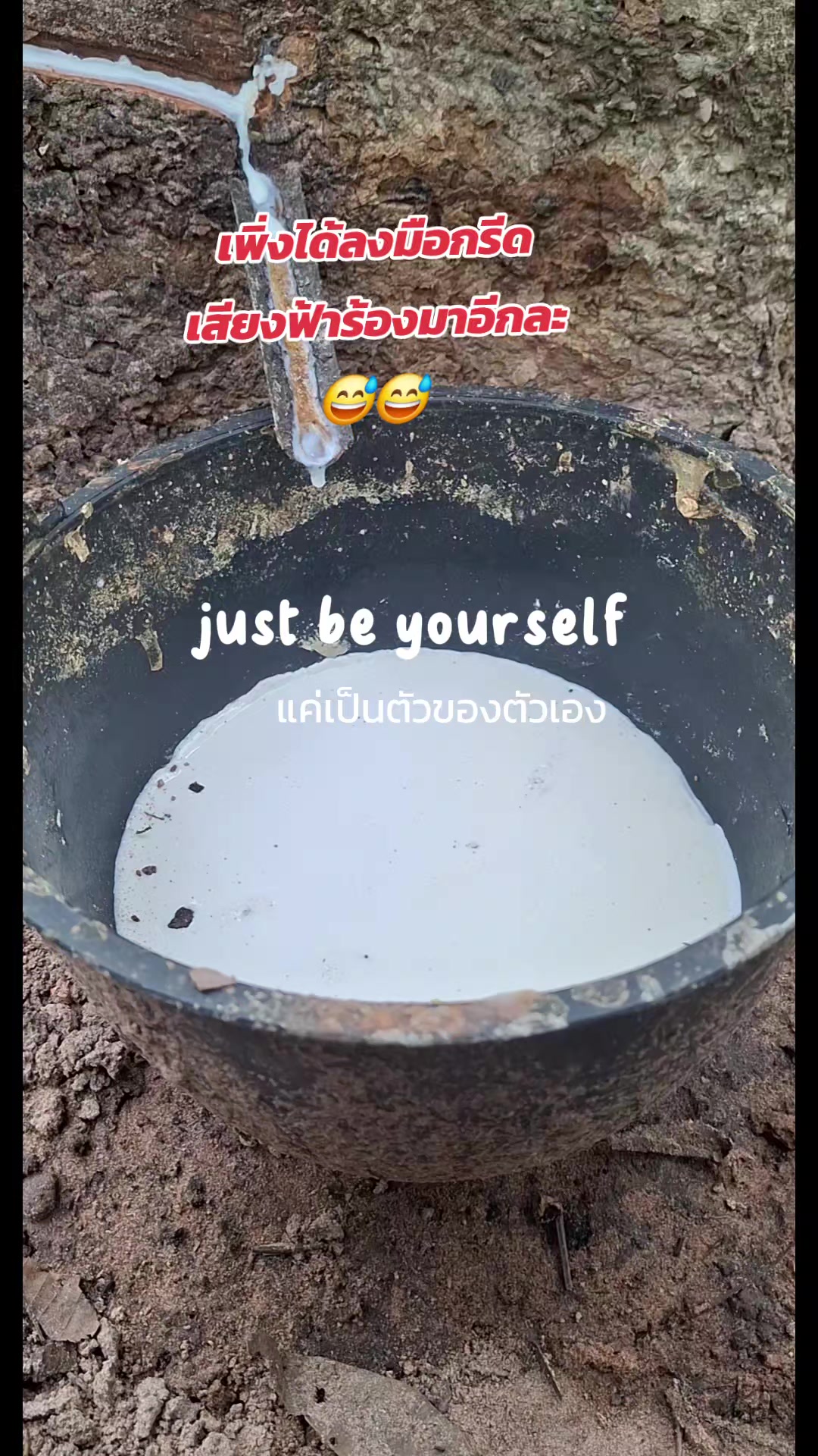 @แม่อ้อยเกษตรกรออนไลน์