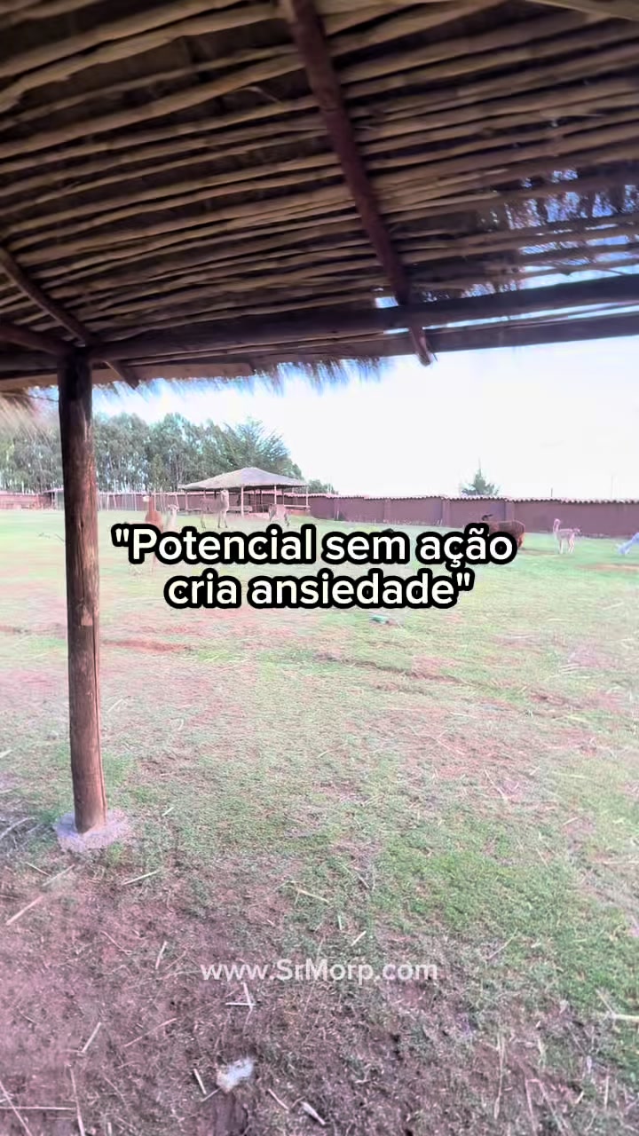 @SrMorp