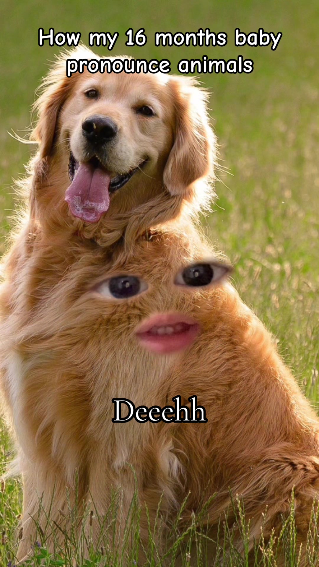@𝓐𝓹𝓻𝓲𝓵