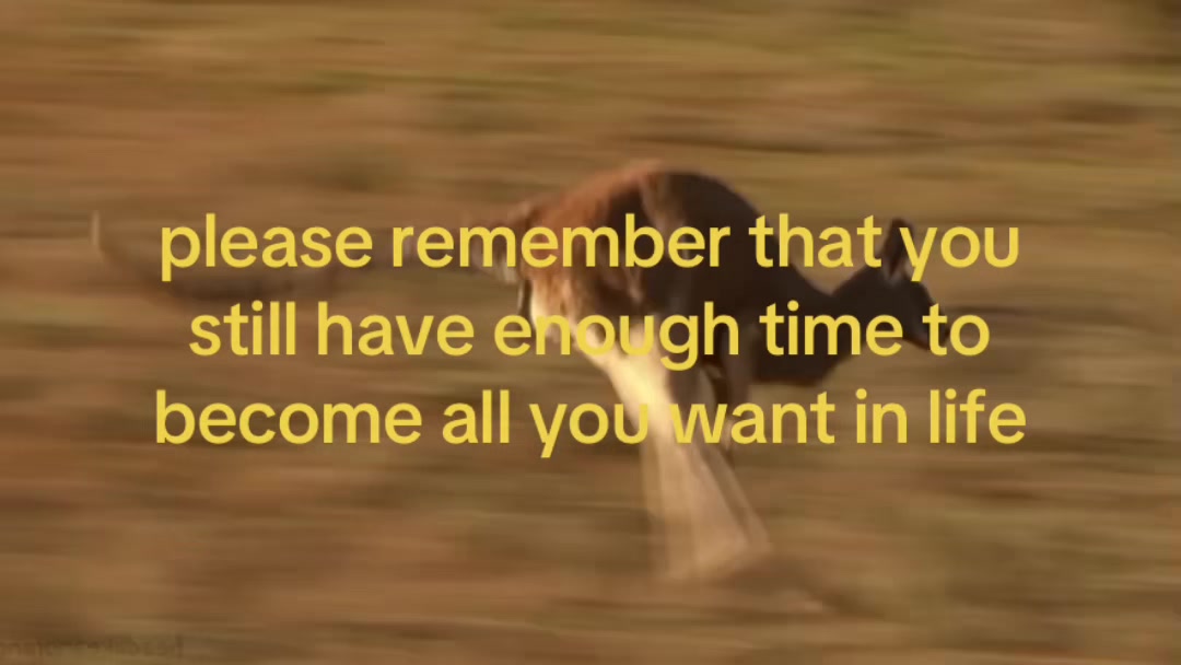 @tobias
