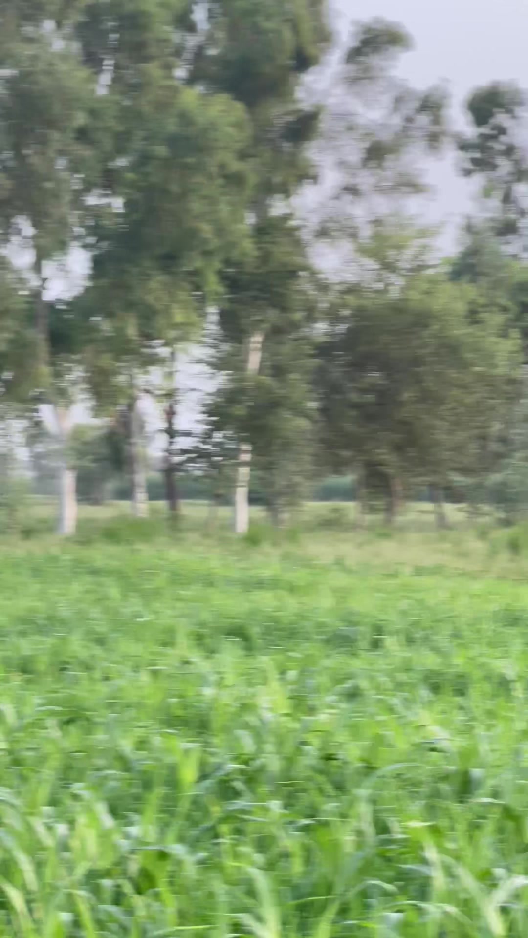 @M.HaSSaN 🇵🇰
